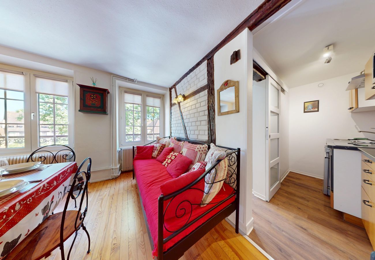Estudio en Colmar - l appartement turenne with access to lounge