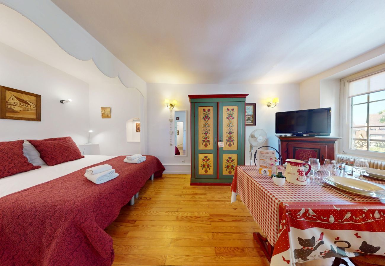 Estudio en Colmar - l appartement turenne with access to lounge