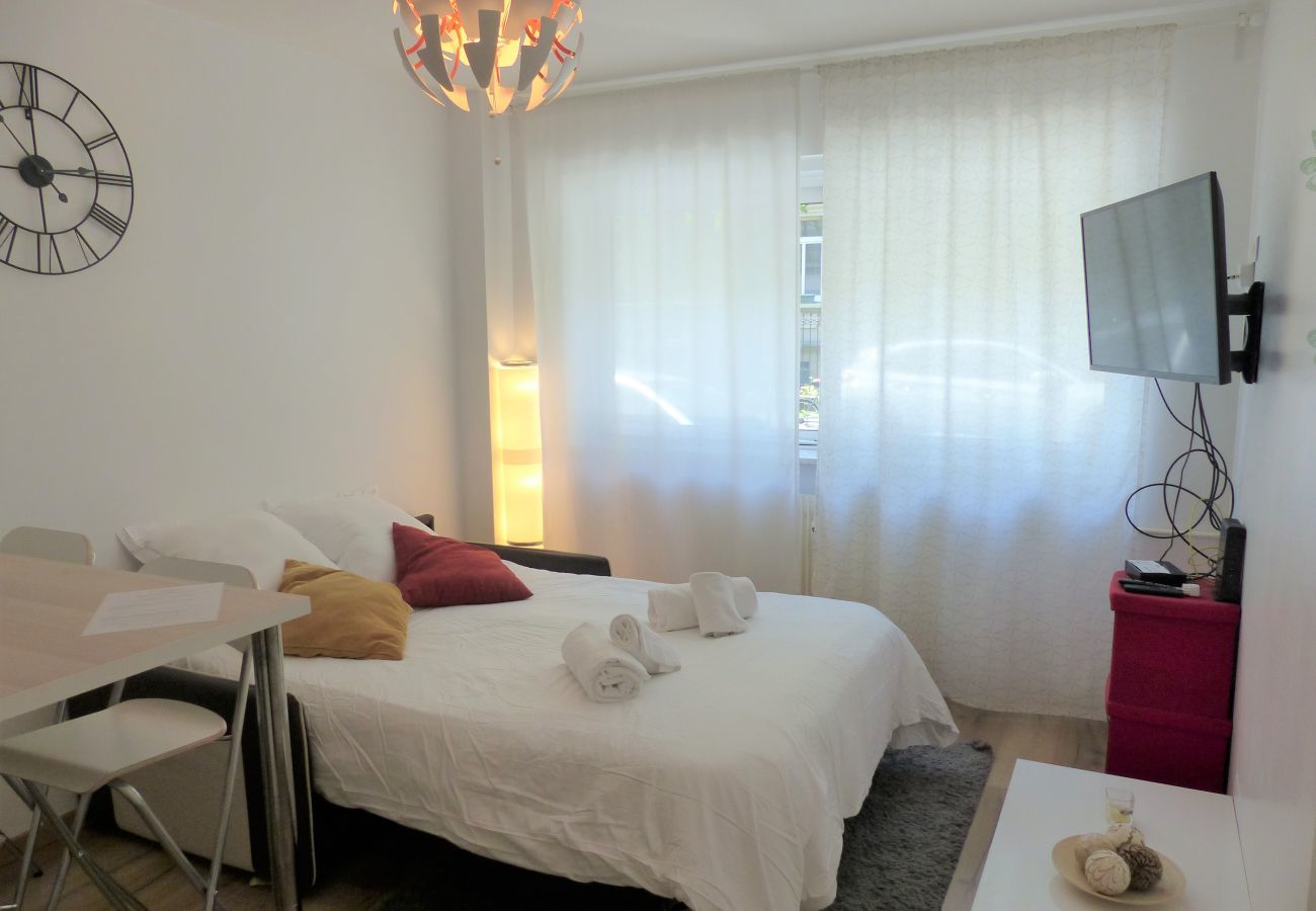 Apartamento en Strasbourg - aux bons amis parlement orangerie  up to 4