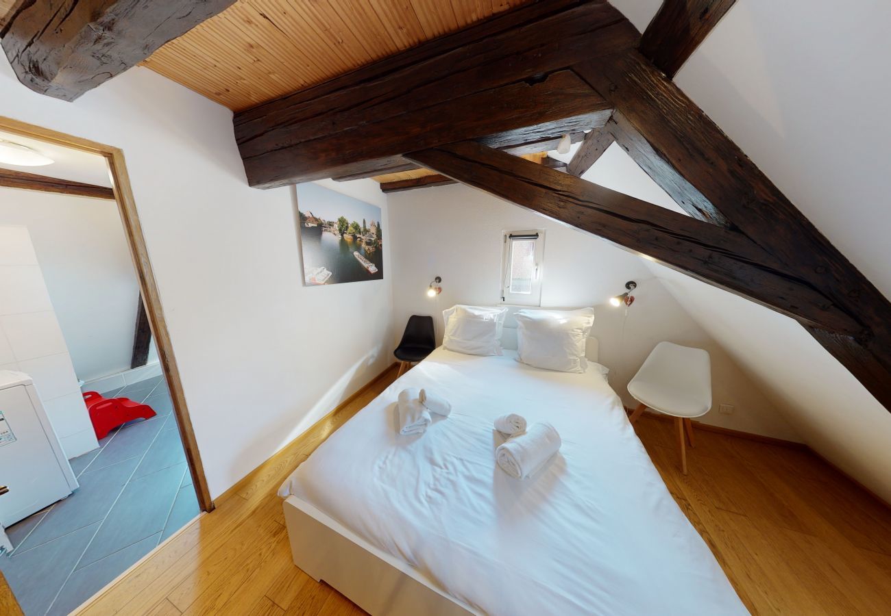 Apartamento en Strasbourg - spacious duplex near petite france up to 4