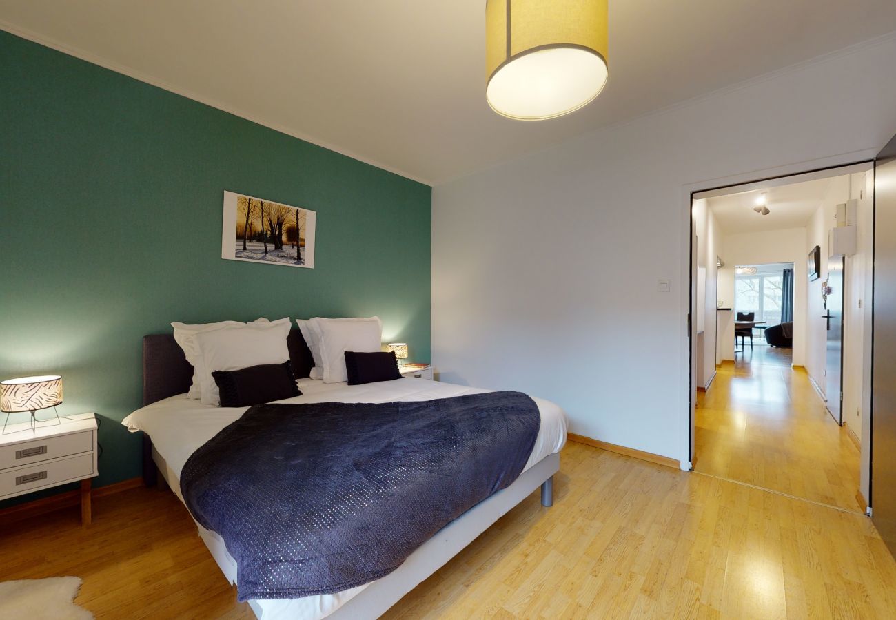 Apartamento en Colmar - le nid cosy + 1 free garage - up to 2