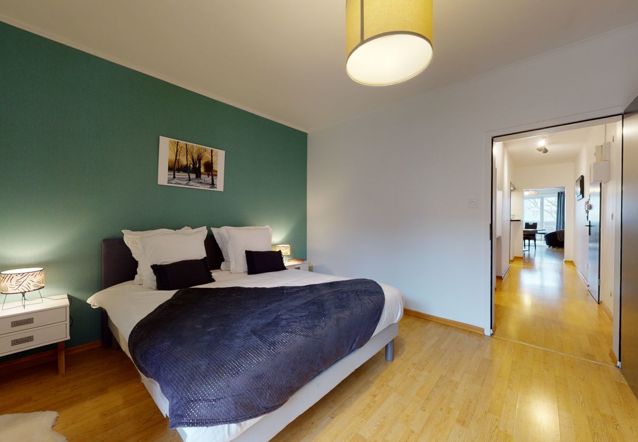 Apartamento en Colmar - le nid cosy 1 free garage  up to 2