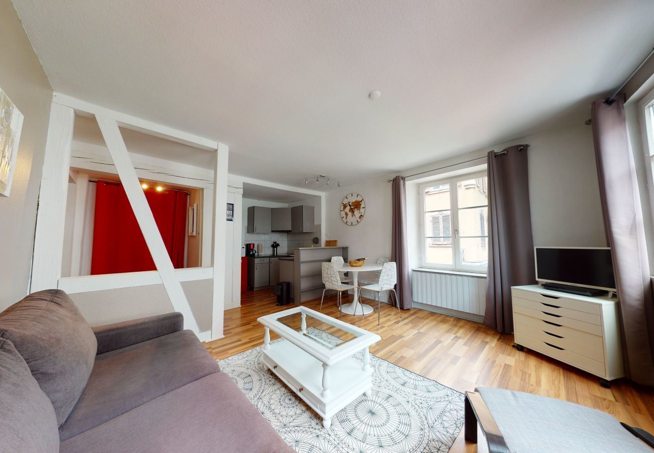 Apartamento en Colmar - gite petite venise - centre historique up to 4