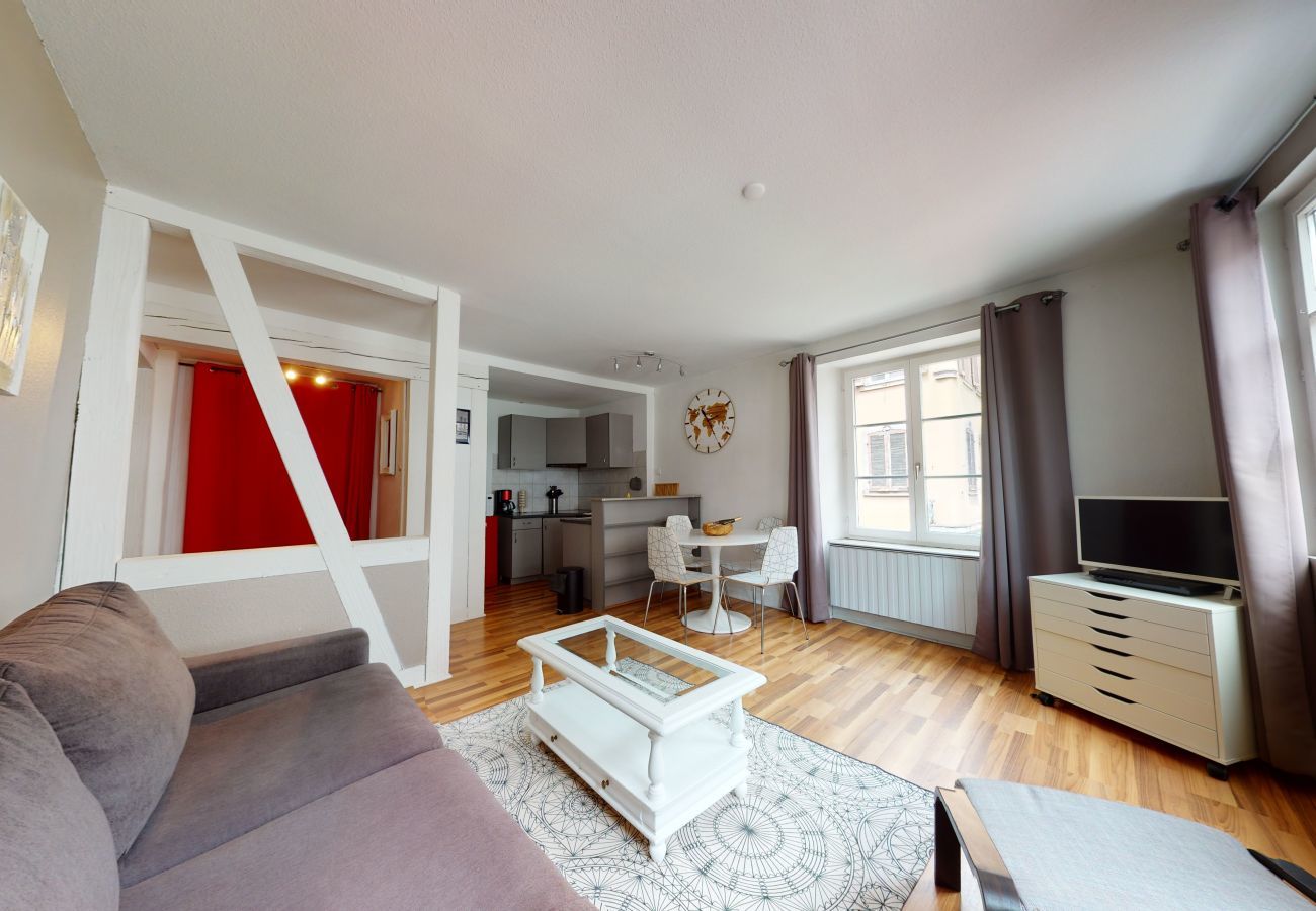 Apartamento en Colmar - gite petite venise centre historique up to 4