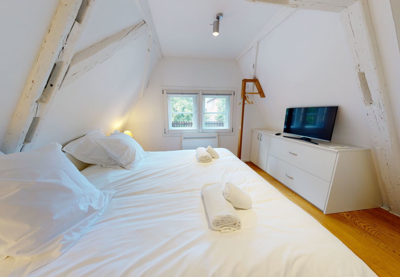 Apartamento en Strasbourg - lohkas triplex loft  petite france 2br 2bth