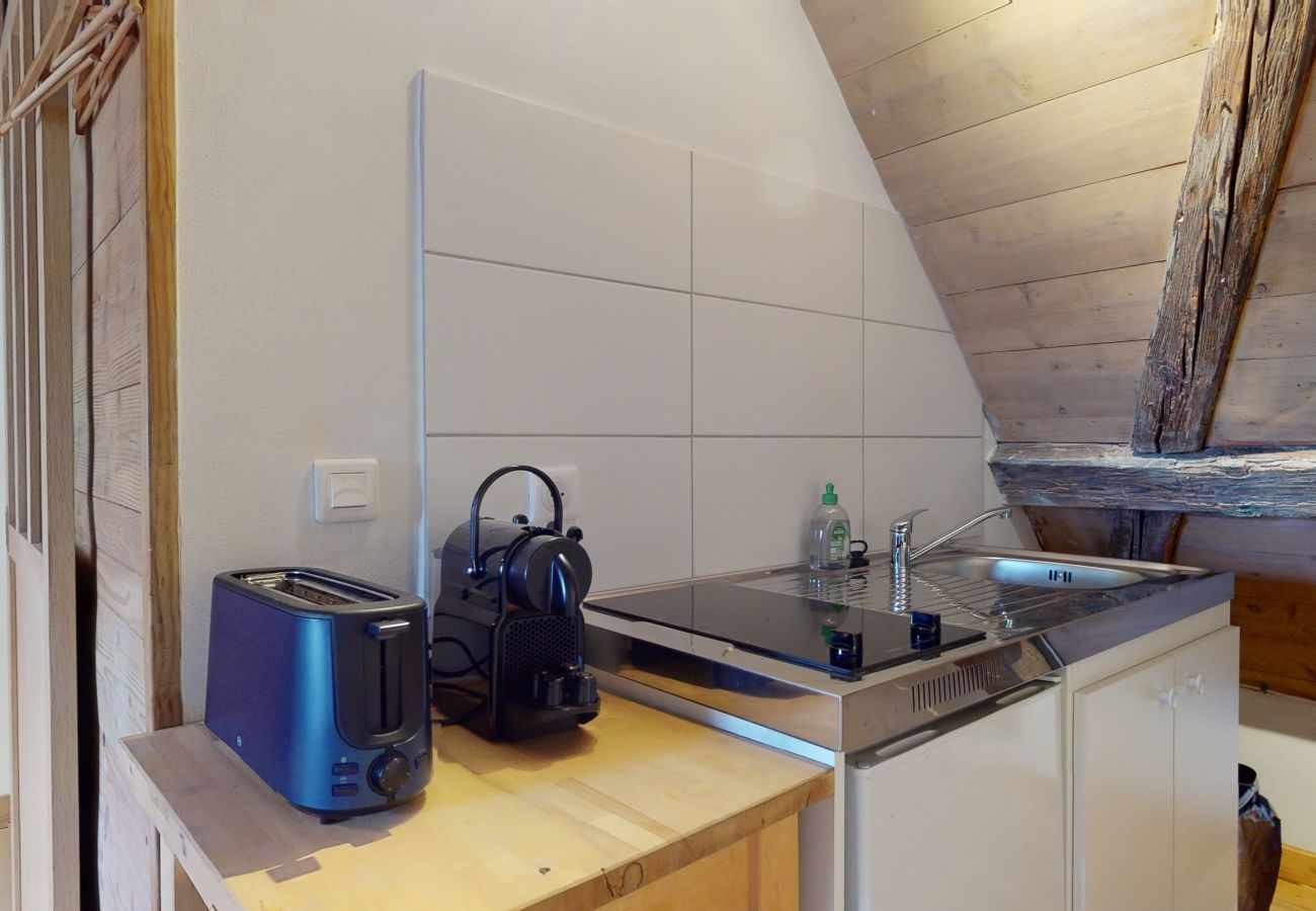 Apartamento en Turckheim - manala 1  gite a turckheim