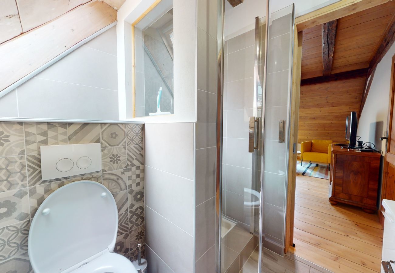 Apartamento en Turckheim - manala 1  gite a turckheim