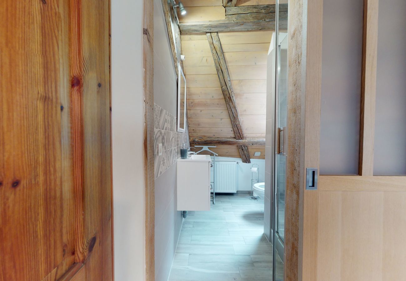 Apartamento en Turckheim - manala 1  gite a turckheim