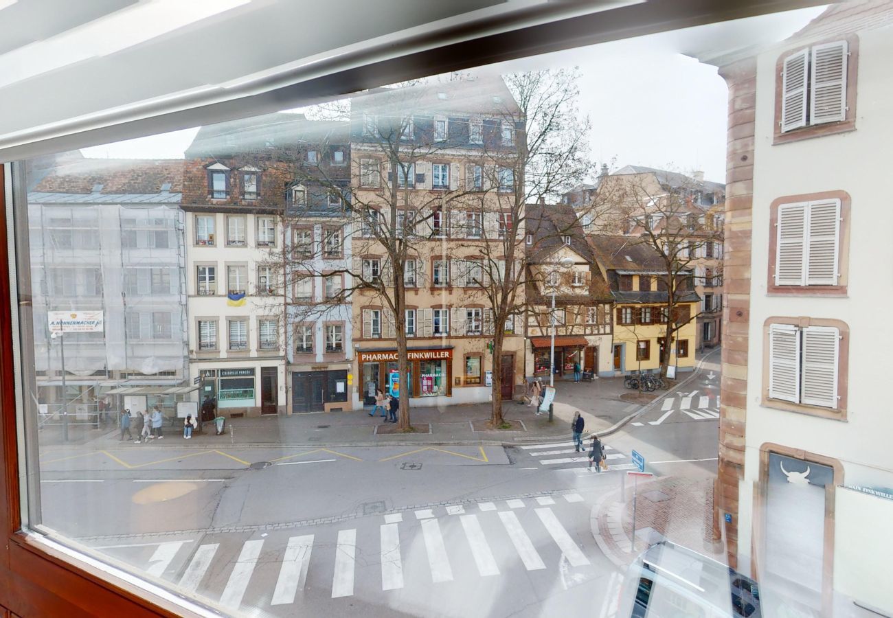 Apartamento en Strasbourg - Bail Mobilité - Finkwiller