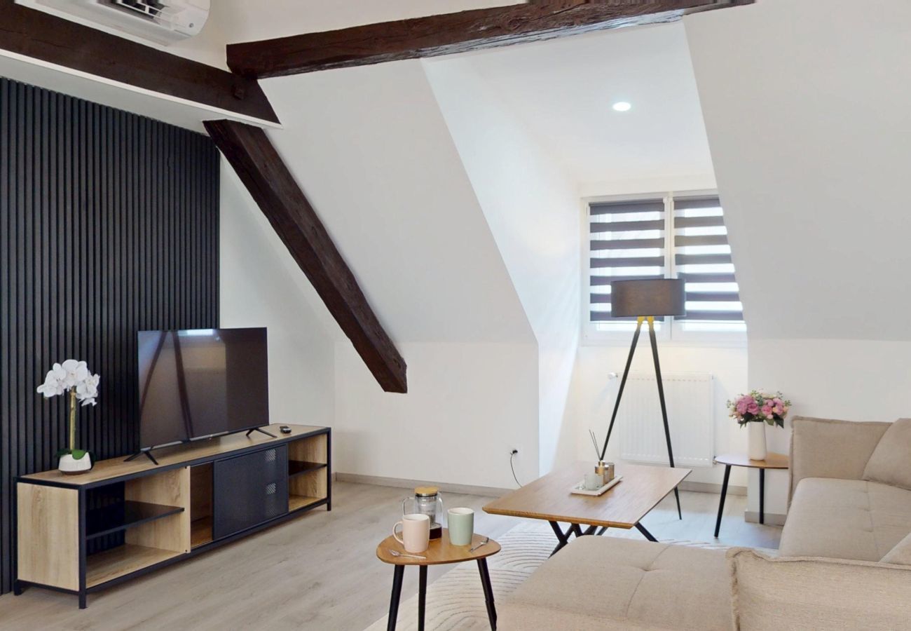 Apartamento en Colmar - Le Big Bag 5 chambres appartement familial