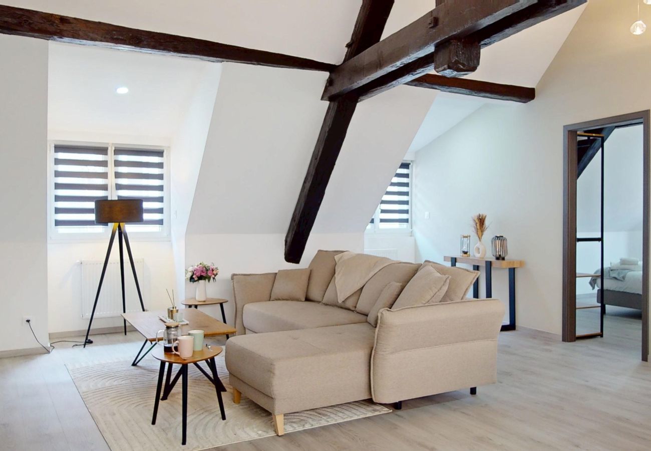 Apartamento en Colmar - Le Big Bag 5 chambres appartement familial