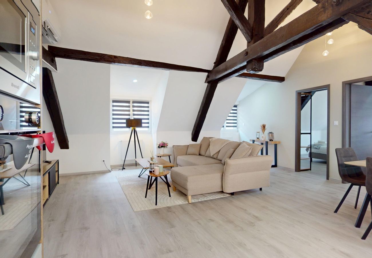 Apartamento en Colmar - Le Big Bag 5 chambres appartement familial