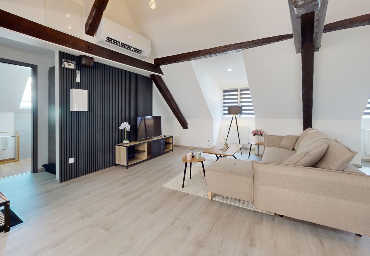 Apartamento en Colmar - Le Big Bag 5 chambres appartement familial