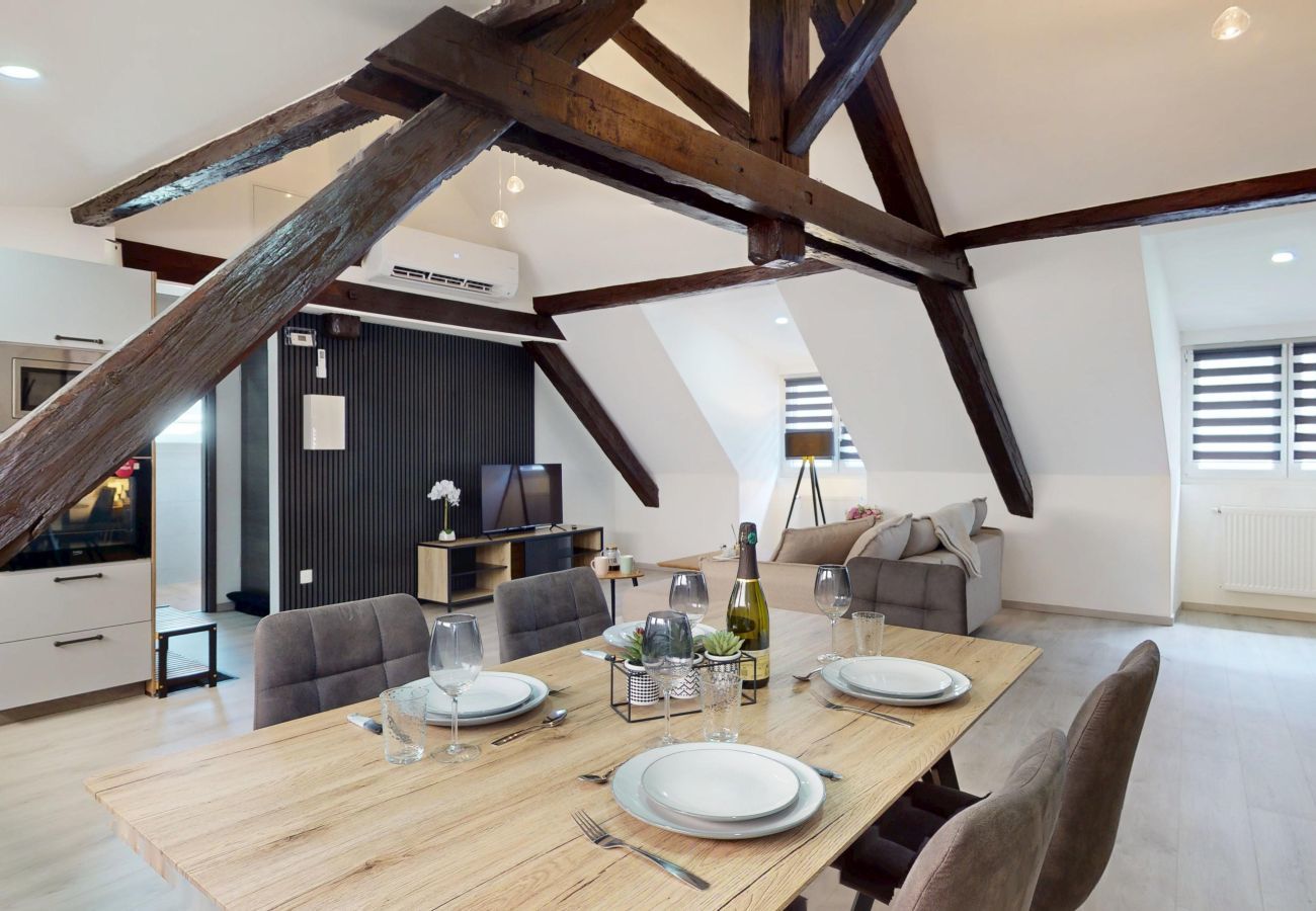 Apartamento en Colmar - Le Big Bag 5 chambres appartement familial