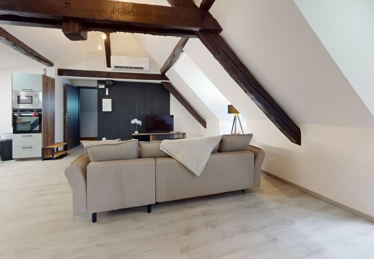 Apartamento en Colmar - Le Big Bag 5 chambres appartement familial