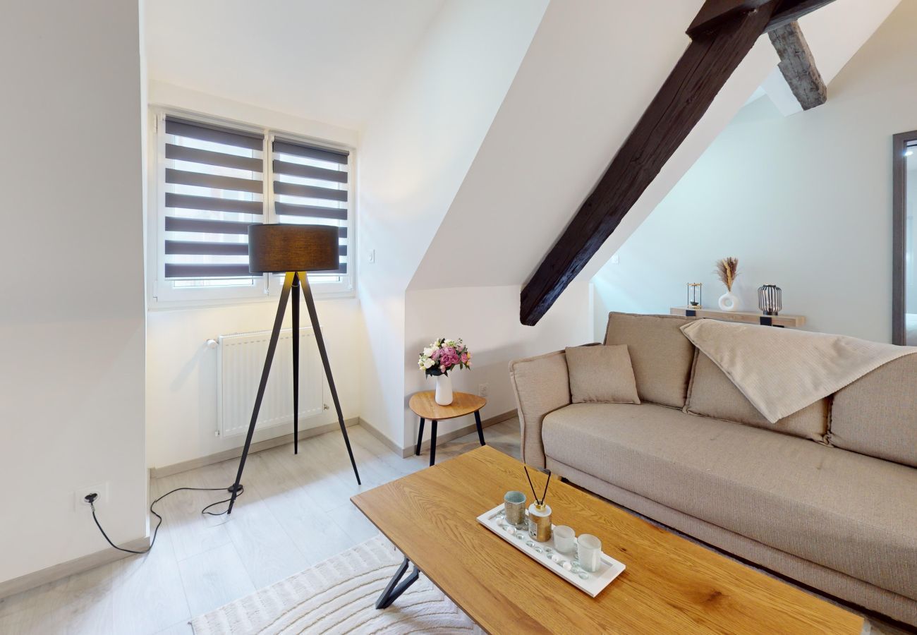 Apartamento en Colmar - Le Big Bag 5 chambres appartement familial