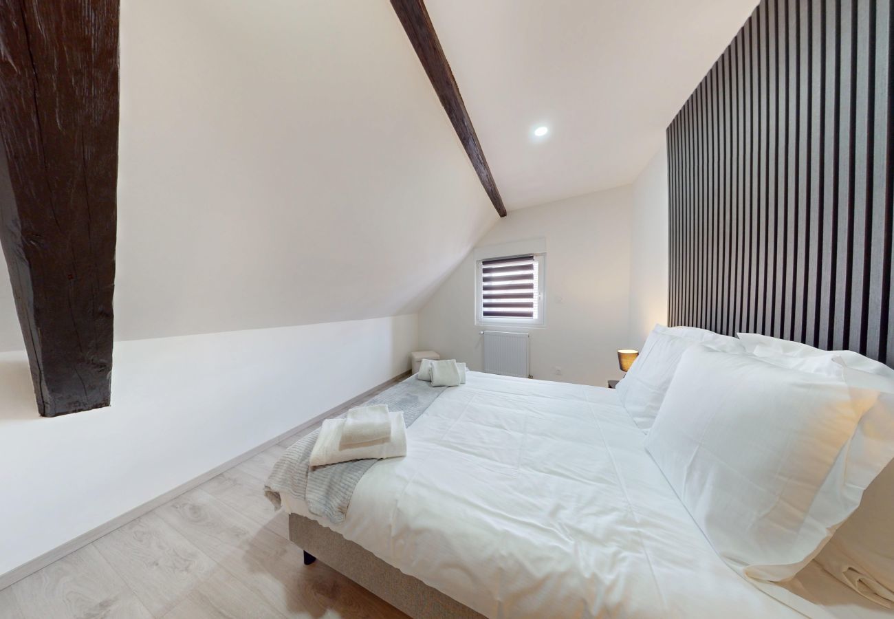 Apartamento en Colmar - Le Big Bag 5 chambres appartement familial