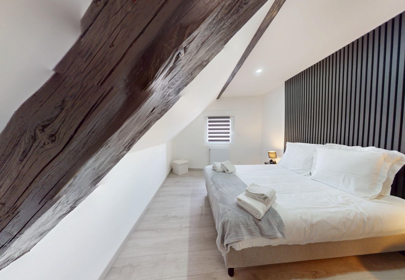 Apartamento en Colmar - Le Big Bag 5 chambres appartement familial