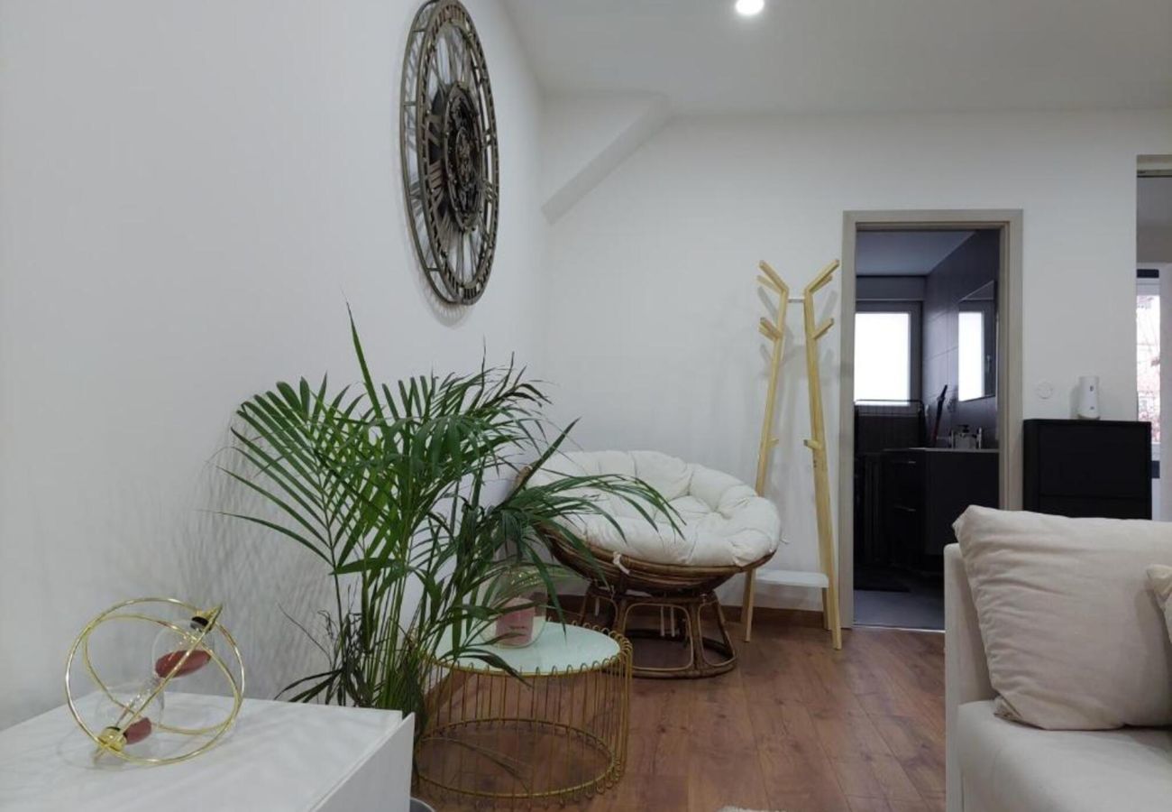 Apartamento en Colmar - Le Big Bag 5 chambres appartement familial