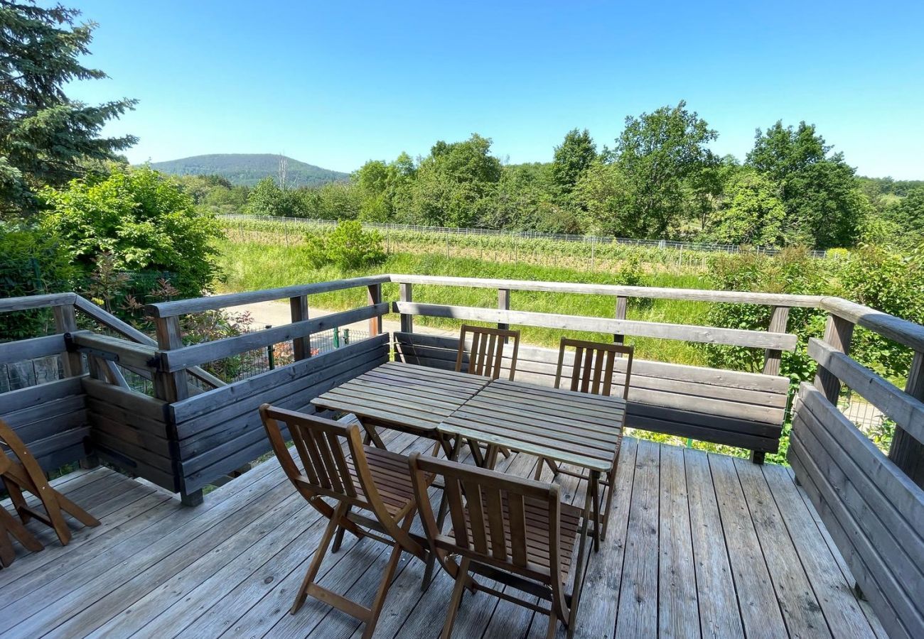 Apartamento en Mittelbergheim - Gite du Holzweg Les Cigognes Duplex