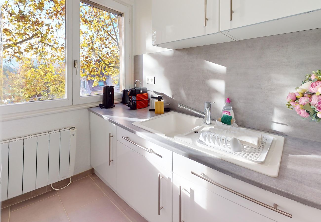 Apartamento en Colmar - Edenhome + 1 parking