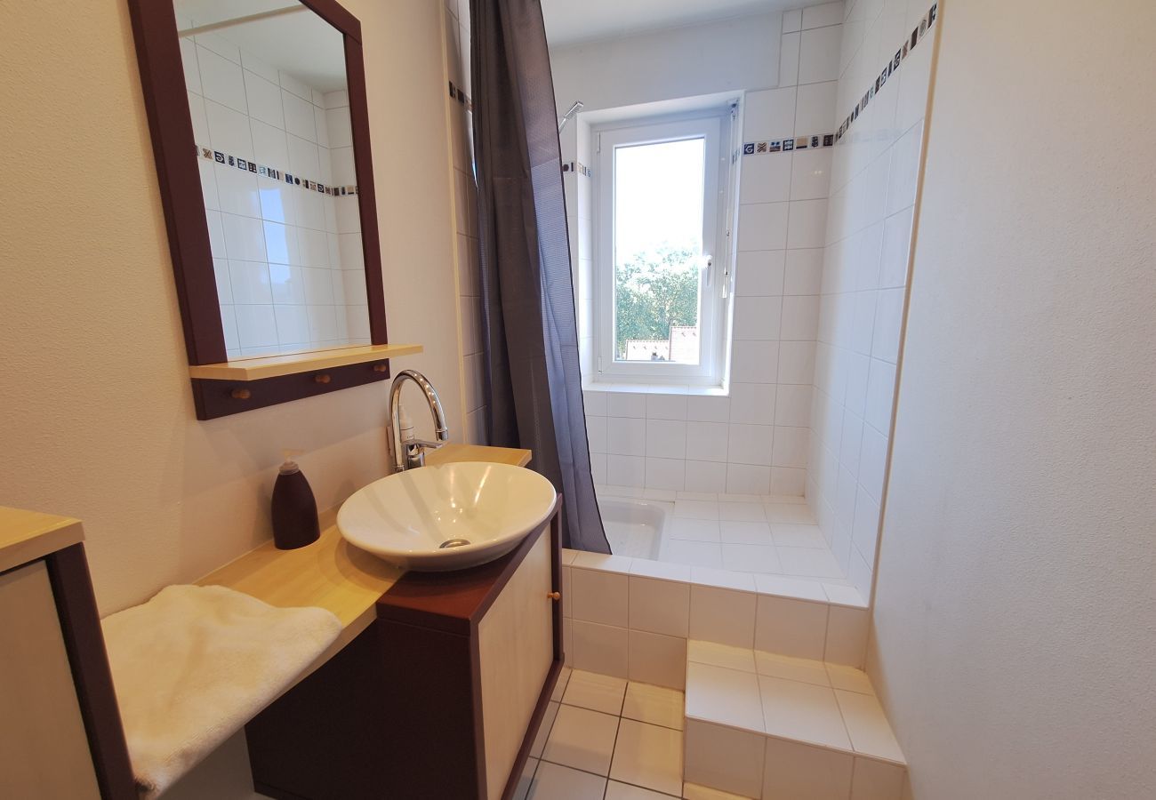 Apartamento en Colmar - L'émeraude 360 avec parking