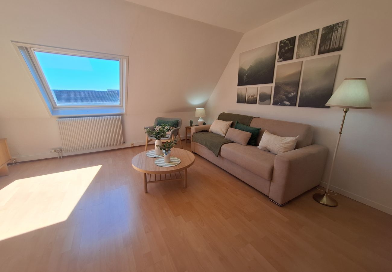 Apartamento en Colmar - L'émeraude 360 avec parking