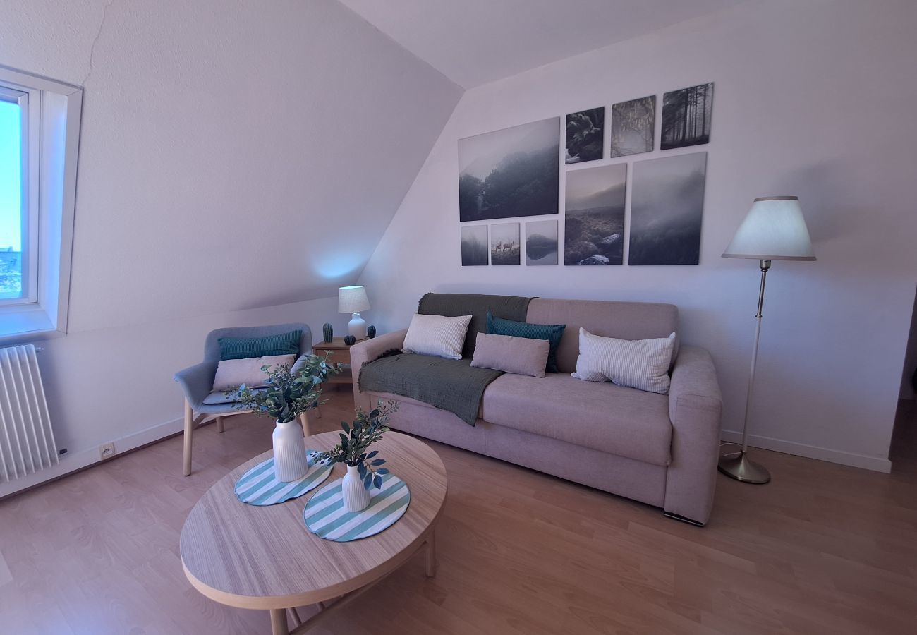 Apartamento en Colmar - L'émeraude 360 avec parking