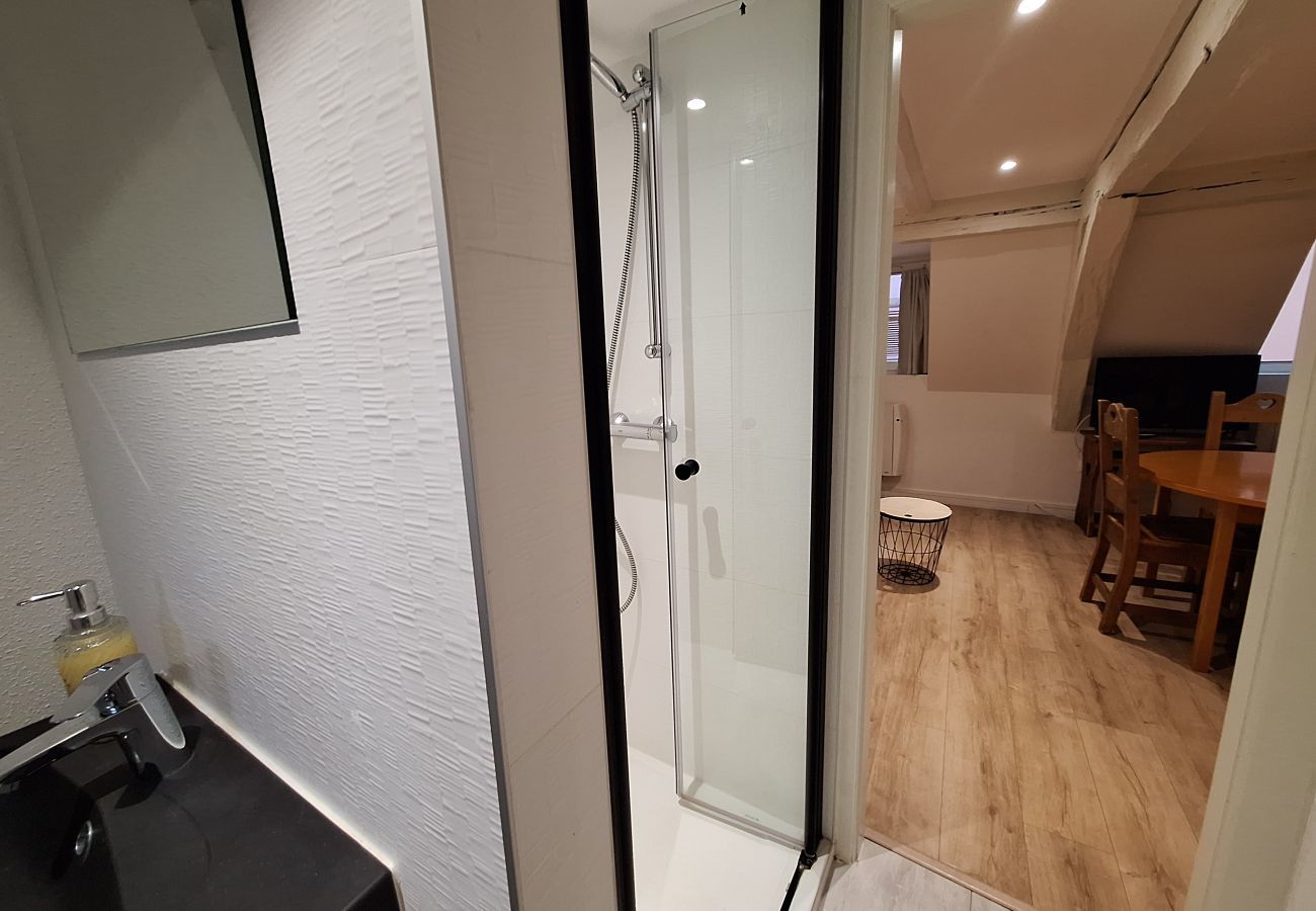 Apartamento en Colmar - Koifhus 3