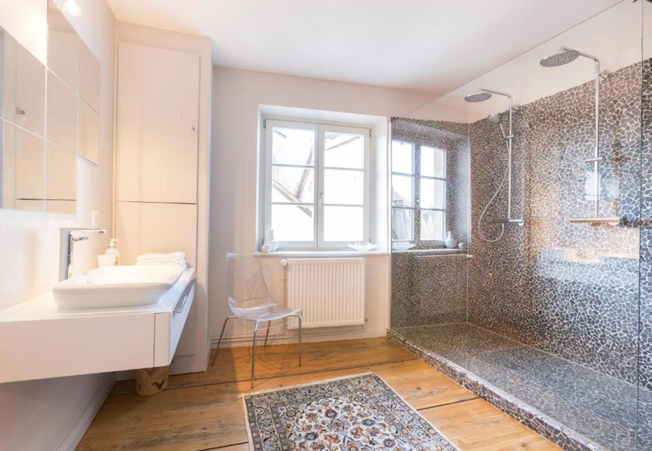 Apartamento en Colmar - Saint Nicolas 3
