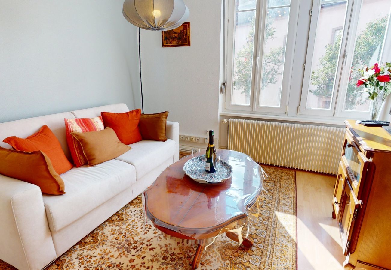 Apartamento en Colmar - Au Buisson De Roses - confort et charme au centre