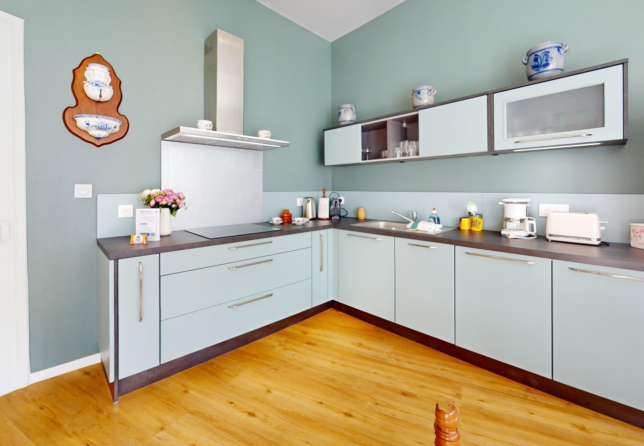 Apartamento en Colmar - Au Buisson De Roses - confort et charme au centre