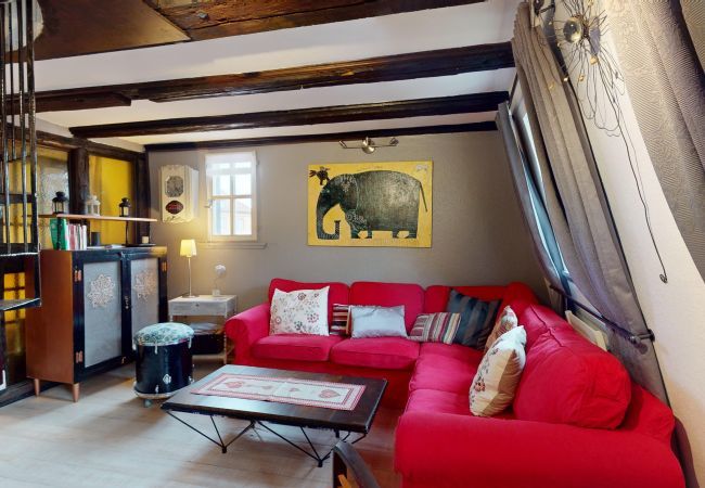 Appartement à Colmar - La Grande Ourse Appartement à Colmar - La Grande Ourse