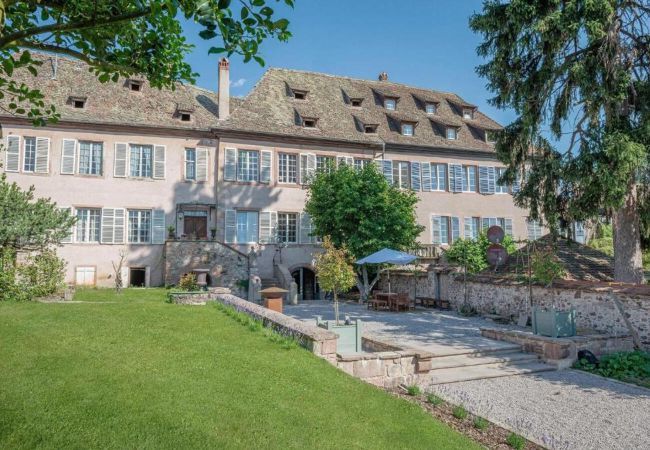 Appartement à Andlau - Jardin de l'Abbaye demeure de charme 4adults 2kids