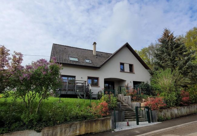 Maison à Mittelbergheim - Gite du Holzweg La maison familiale