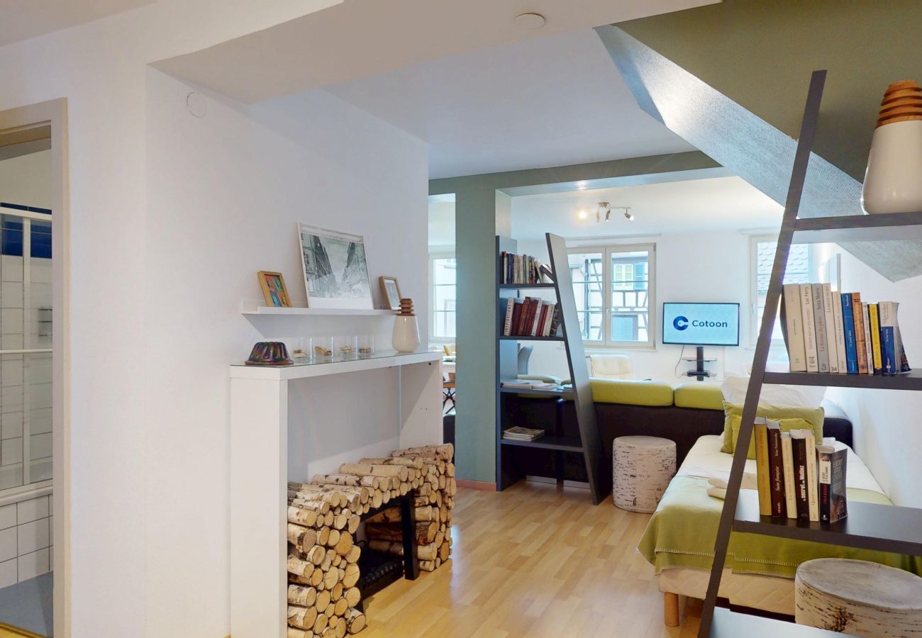 Appartement à Colmar - dollfus 80m2 city center 2br