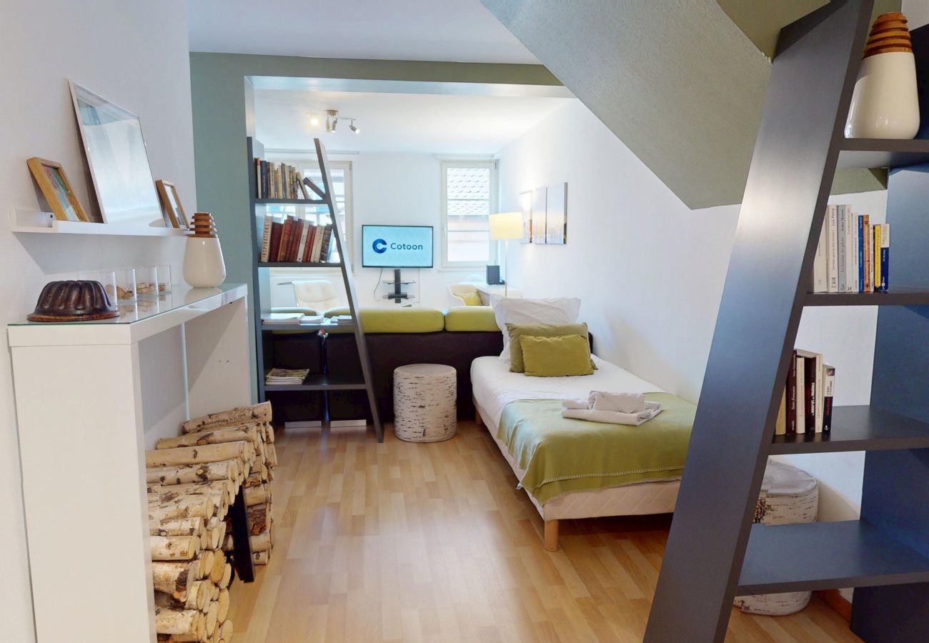 Appartement à Colmar - dollfus 80m2 city center 2br