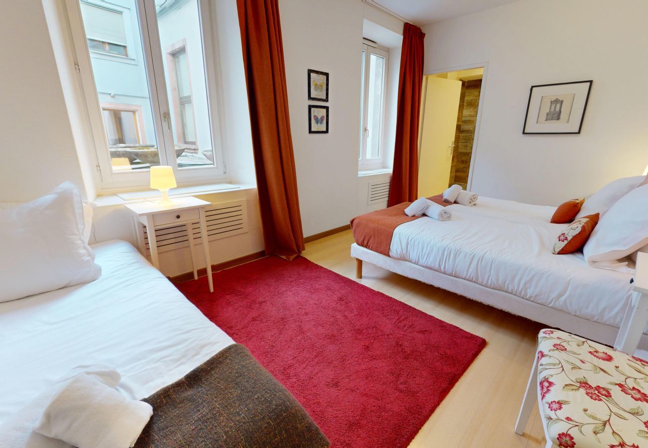 Appartement à Colmar - lacour ac 160m2 city center  4br3bth