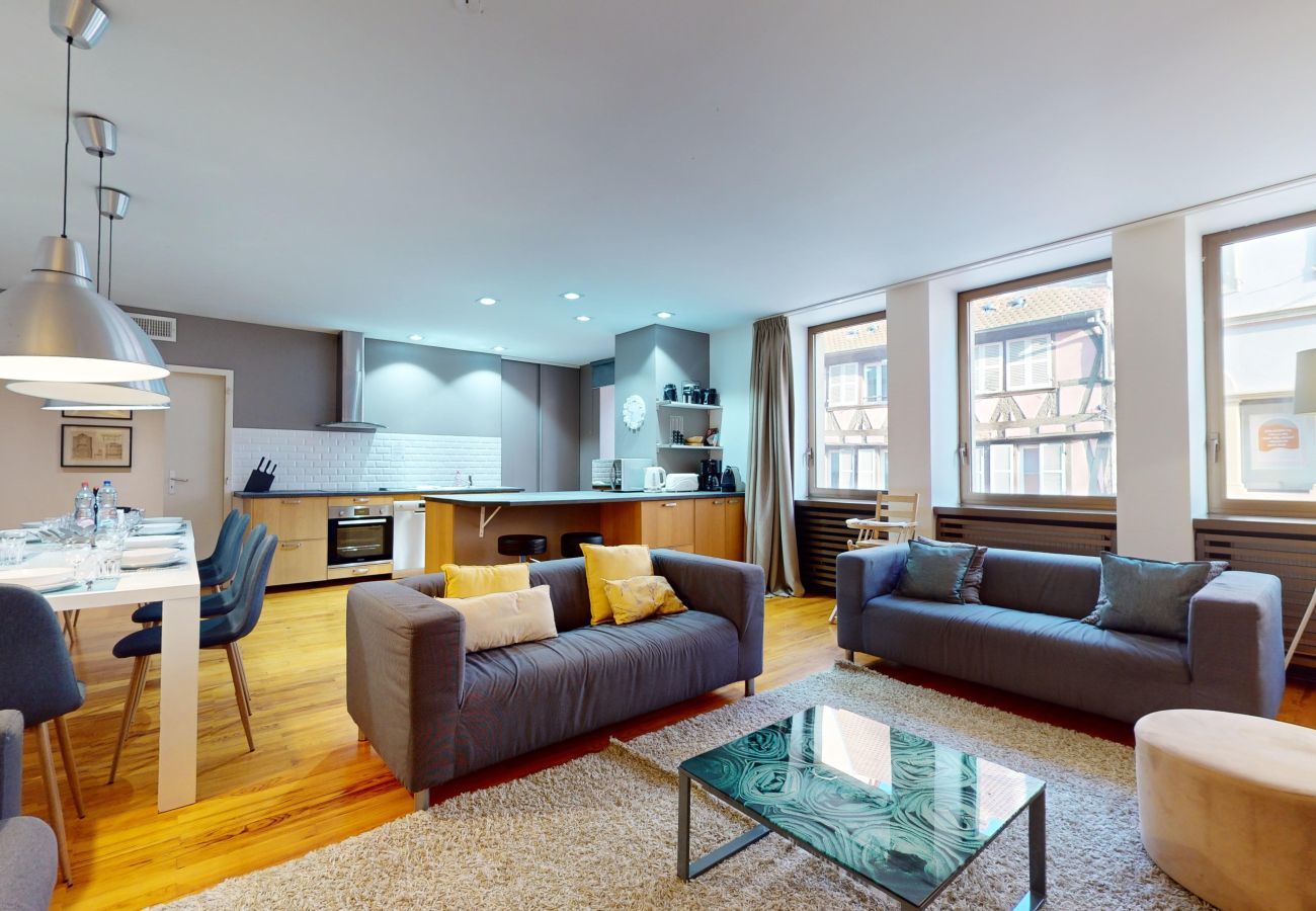 Appartement à Colmar - lacour ac 160m2 city center  4br3bth