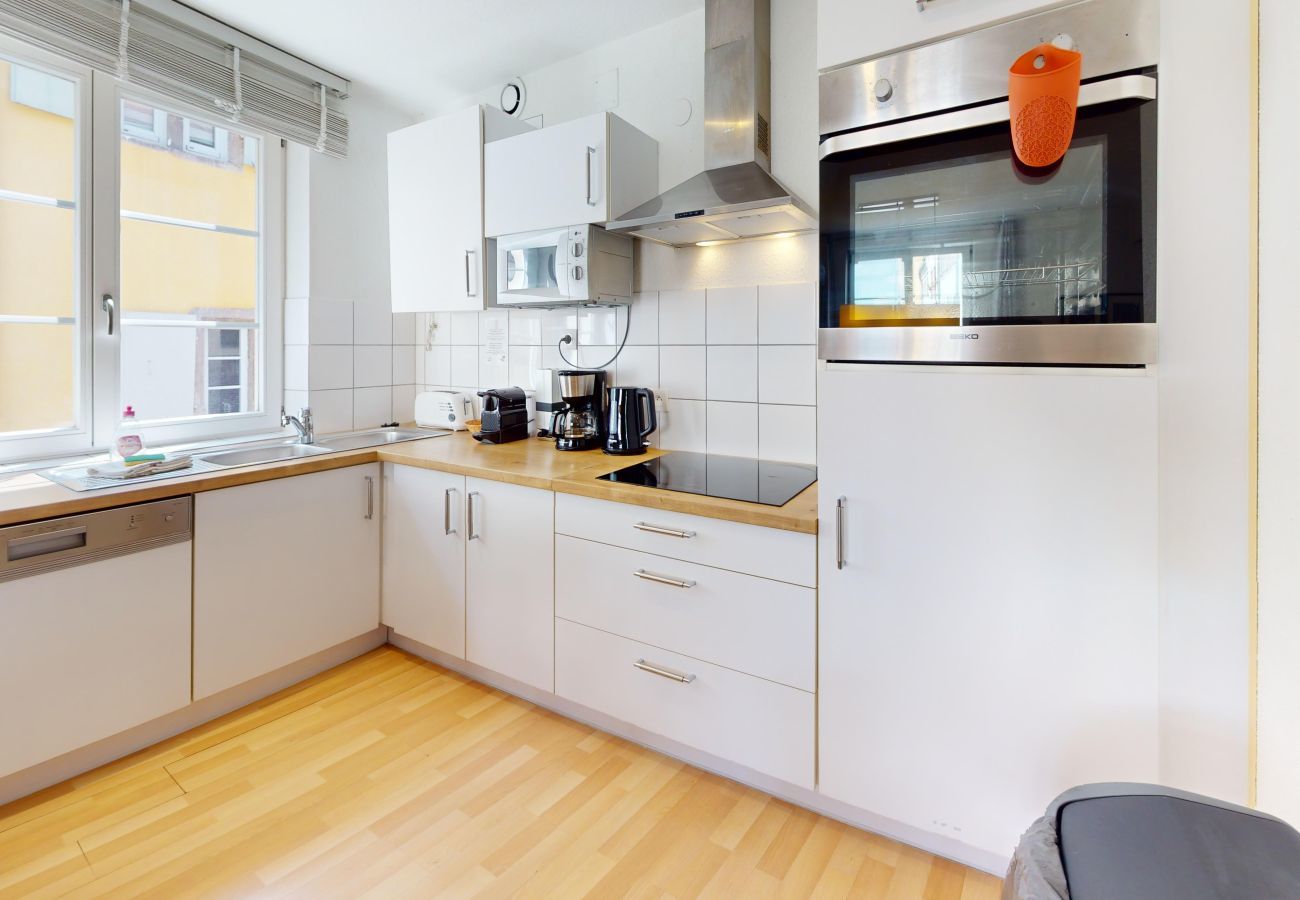 Appartement à Colmar - schlumberger 120m2 city center 3br 2bth