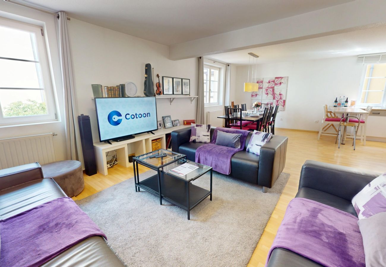 Appartement à Colmar - schlumberger 120m2 city center 3br 2bth