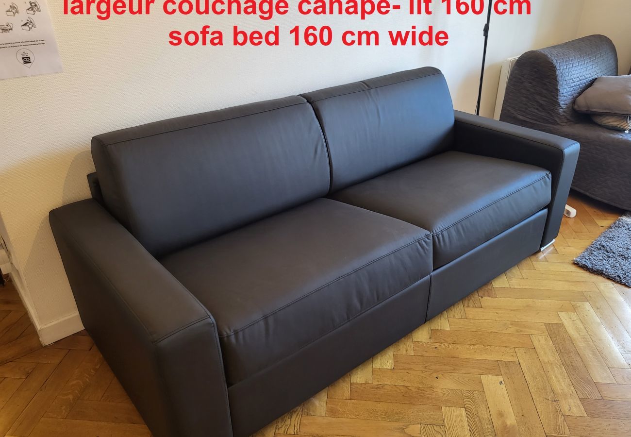 NETTER STRASBOURG - CANAPE LIT LARGEUR COUCHAGE 160 CM