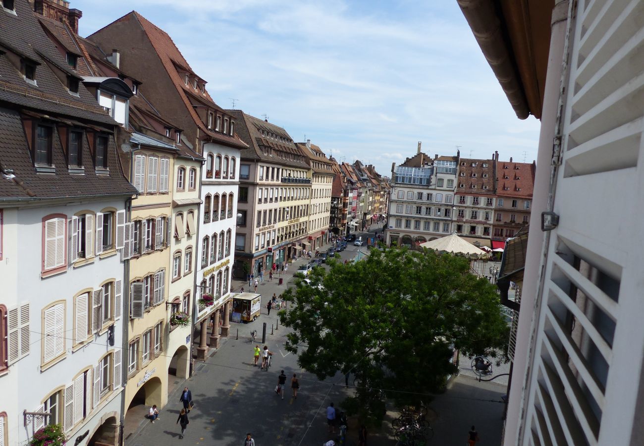 Appartement à Strasbourg - marceau 70m2 city center    2br