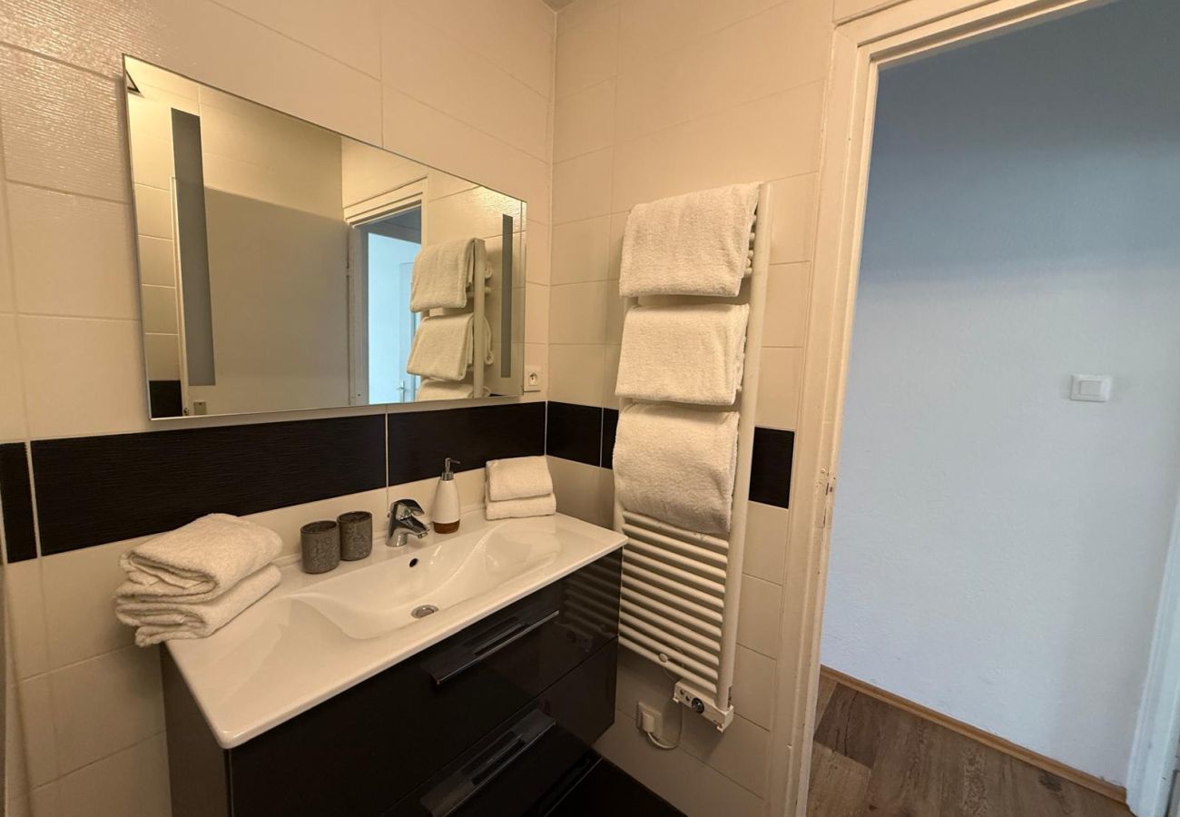 Appartement à Strasbourg - Petite France + Parking