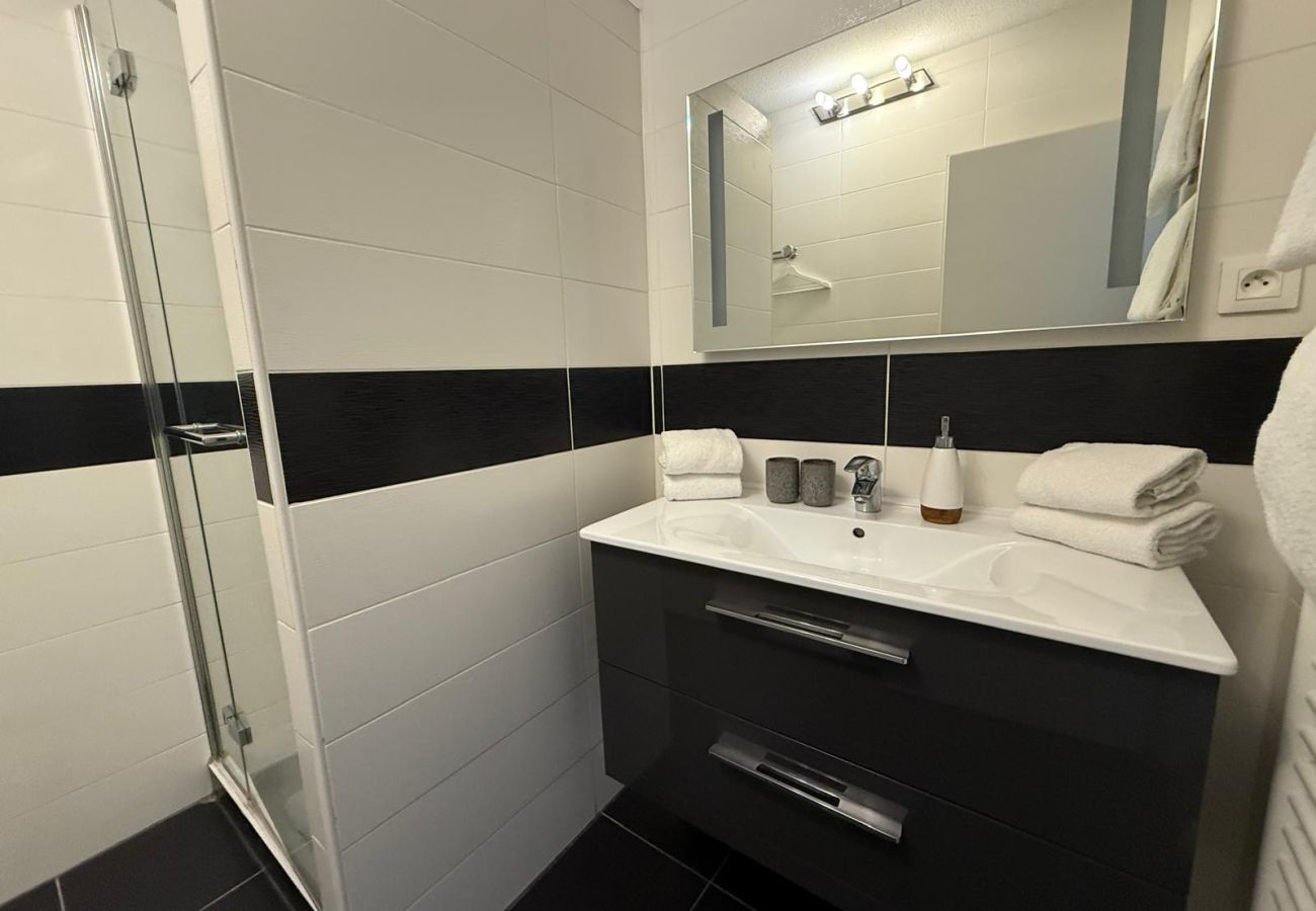 Appartement à Strasbourg - Petite France + Parking