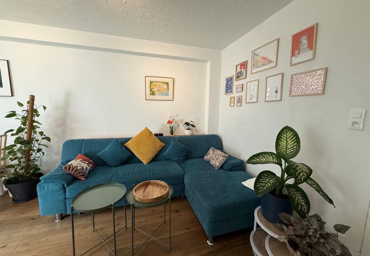 Appartement à Strasbourg - Petite France + Parking