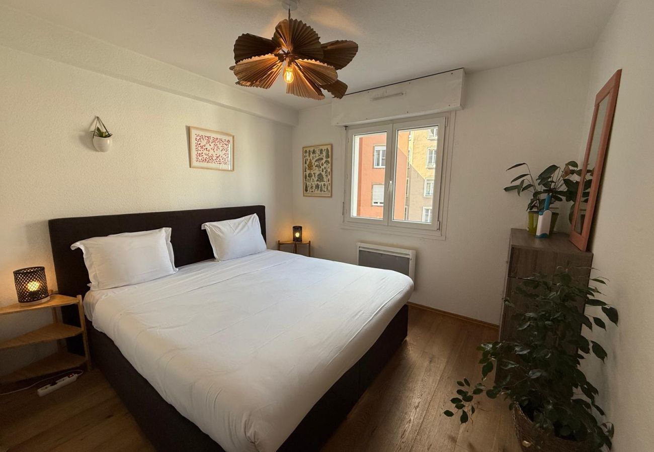 Appartement à Strasbourg - Petite France + Parking