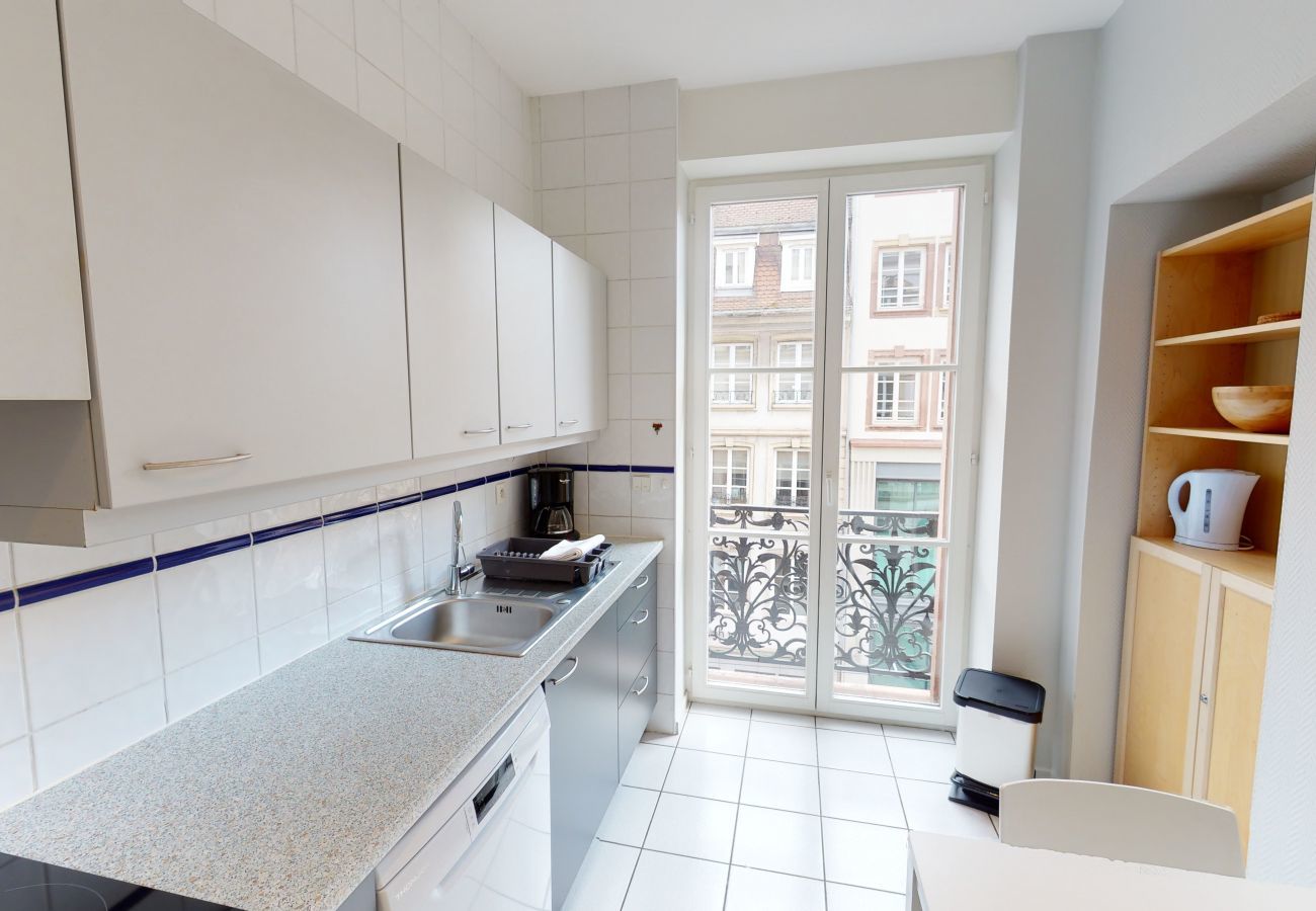 Appartement à Strasbourg - bleu mesange 90m2 city center 2br 2bth