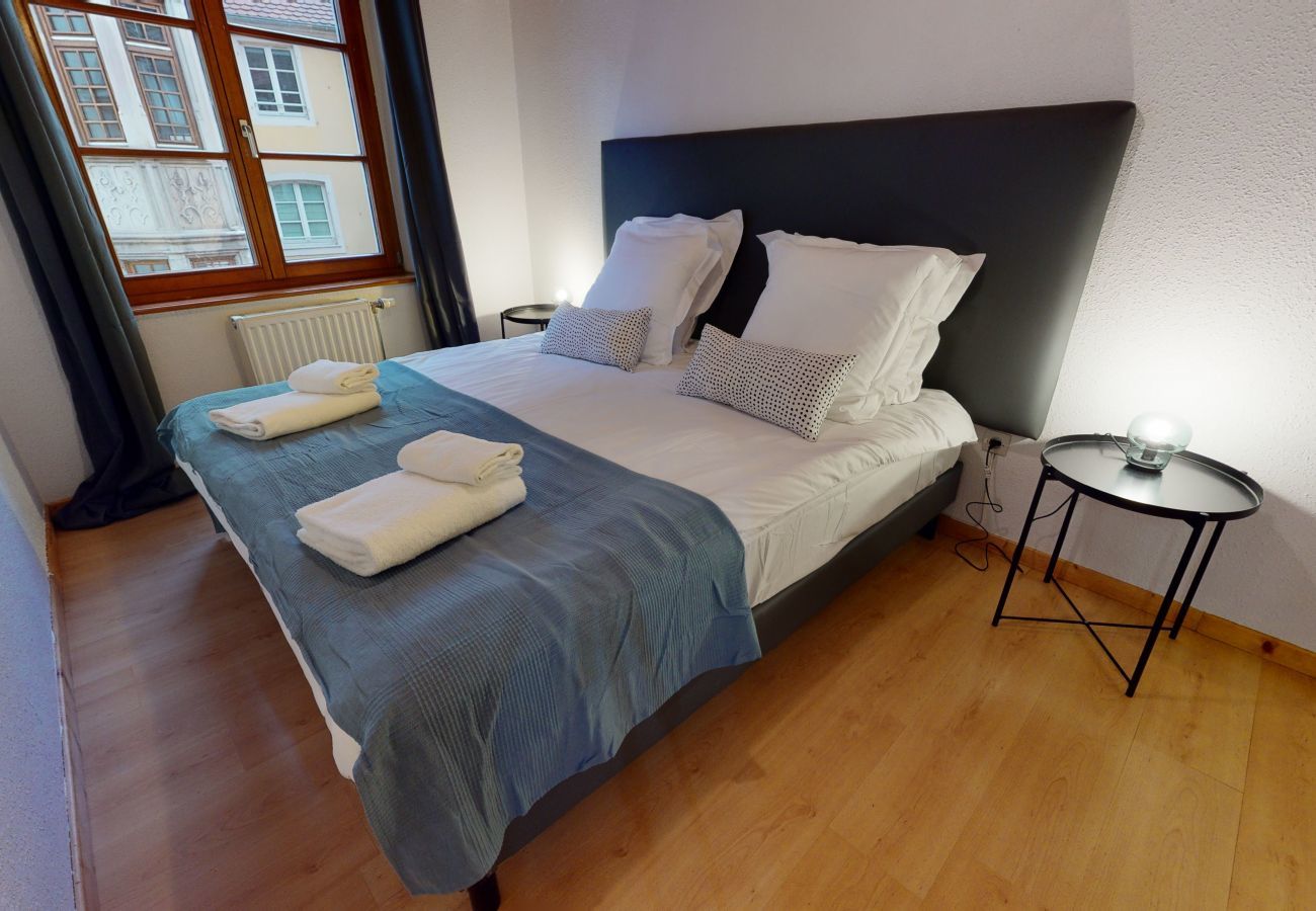 Appartement à Colmar - le petit thierenbach - maison alsacienne    2br