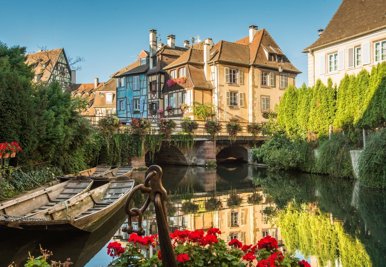 Appartement à Colmar - gite petite venise centre historique up to 4